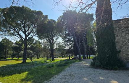 Domaine familial avec grand parc et piscine - Foto 37