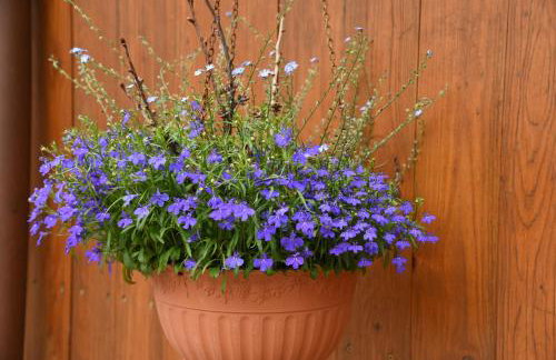 Ferienappartement Balik - Foto 6