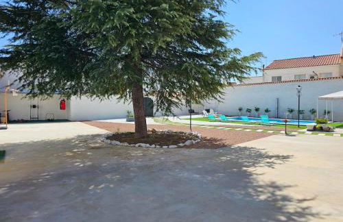 La casa del árbol - Foto 20