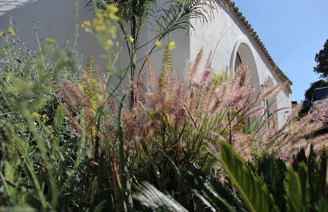 Molino de Saladilla - Photo 47