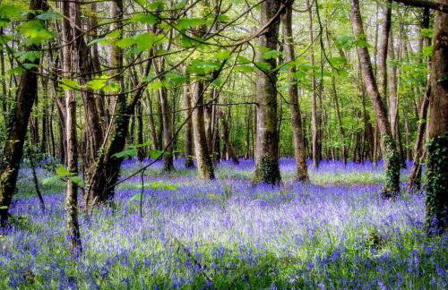 2 Bed in Camborne oc-oldmm - Photo 26