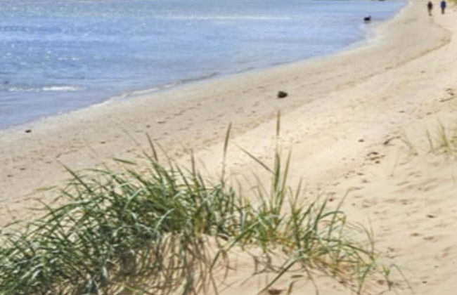 Sea View Cottage Lake District Coast, Haverigg - Foto 39