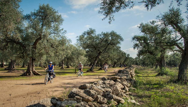 Alezio, Tuglie & Porto Selvaggio Bike Tour - Photo 2