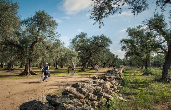 Escursione in bici ad Alezio, Tuglie e Porto Selvaggio - Foto 1