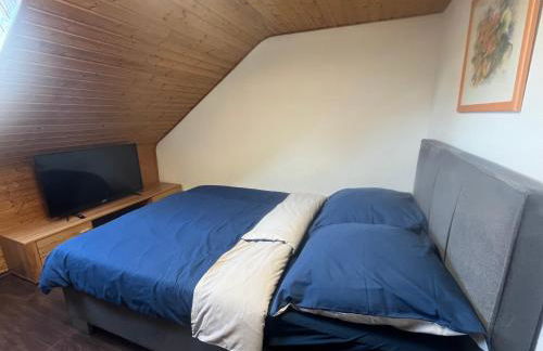 Beishan Appartements Nürnberg in Zentrum Dachgeschoss - Foto 11