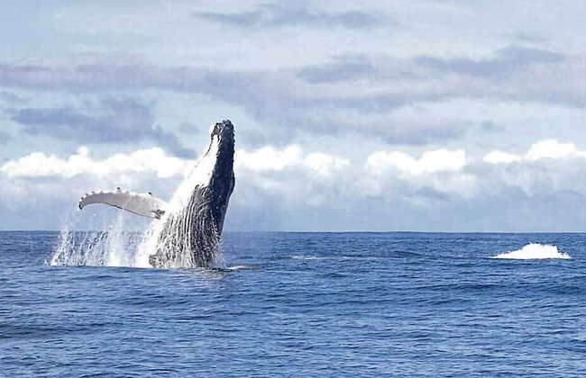 EDIFICIO REGATA INN - Photo 30