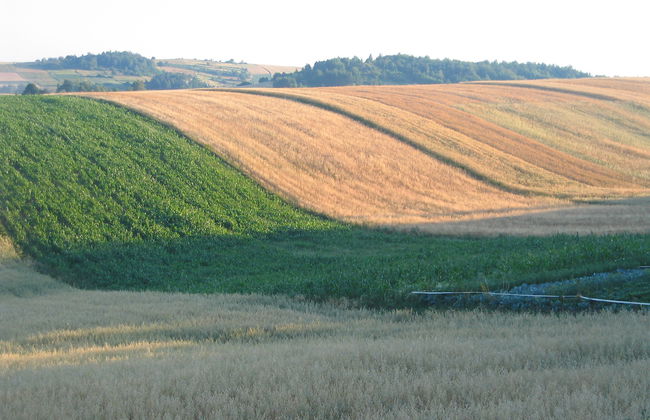 Moja Mała Toskania - Foto 49