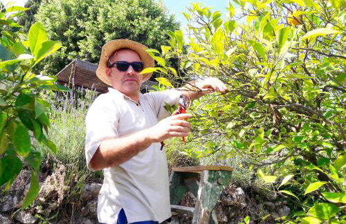 Holidays In Provence Alpes Maritimes - Foto 18