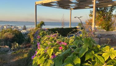 Il Giardino Nascosto - Foto 1