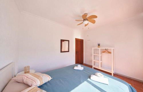 Mahmala Mágica - Foto 34