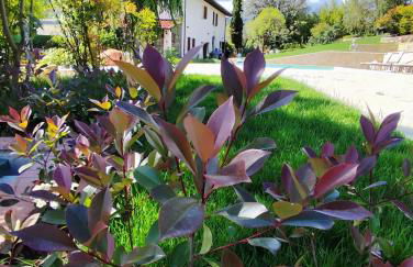 Villa Salviati - Foto 51