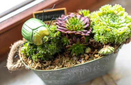 Ferienwohnung-Elli - Photo 25