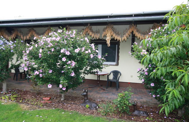 Reihenhaus in Lubben an der Spree - Foto 16