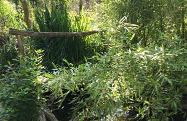 Wohnen im Eulengarten - Foto 24