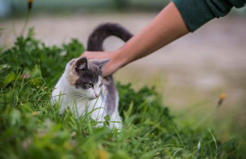 Residence Speckerhof - Foto 45