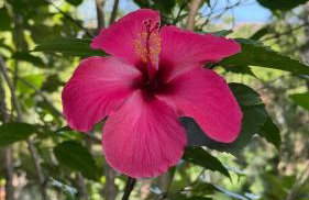 Rancho Fundo - Foto 24