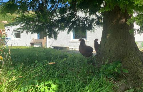 The Annex in Glenelg - Photo 11