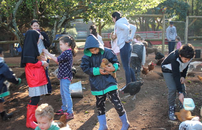 Pump Hill Farm Cottages - Photo 44