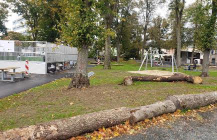 Ferienwohnung Rose - Foto 10