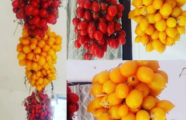 Agriturismo Il Raduno - Foto 45