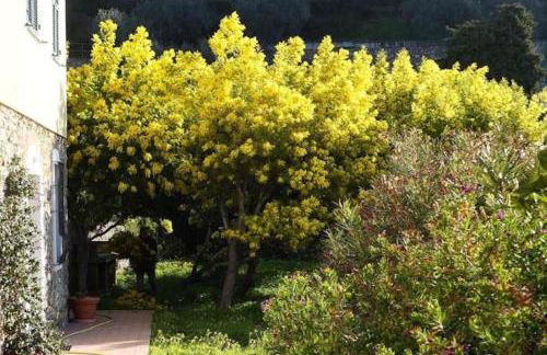 Agriturismo San Michele di Danio Giovanni - Foto 23