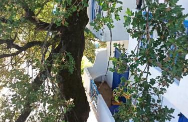 Milisia Rooms - Foto 54