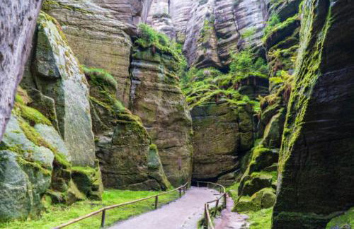 Marina Arka Noego - Foto 21