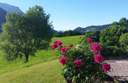 Ferienwohnung Lenz - Foto 17