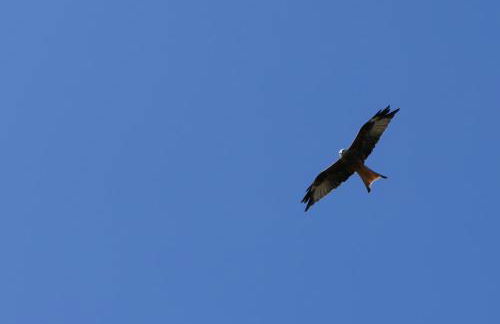 Ferienwohnung Sunnenviul - Foto 27