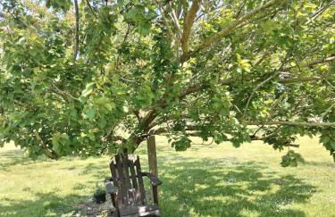 Domaine des Cerisiers - Piste cyclable reliant Honfleur - Parking privé & grand jardin - Foto 31