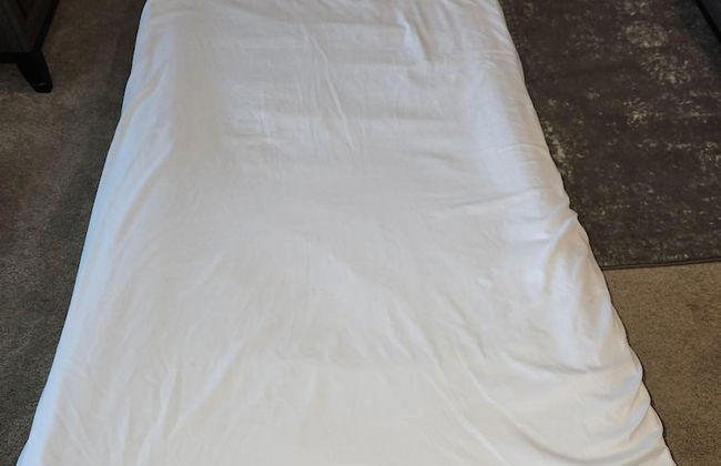 DTWN luxury condo 99 percent Walk score - Foto 4