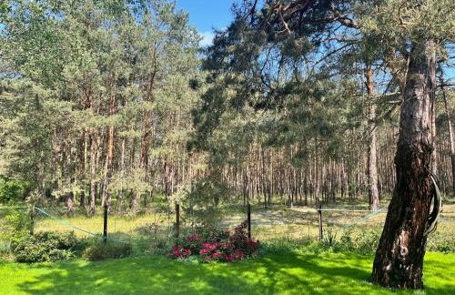 Ferienhaus im Wald, am Briesener See - Foto 3