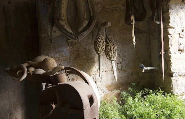 Can Barnosell - Els Masos d'en Coll - Foto 61