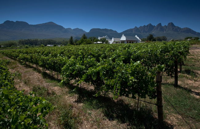 Dunstone Country House - Foto 51