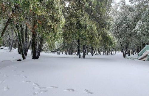 Pine Hills Cabin in Julian - Foto 55