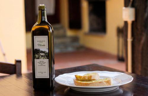 Tuscany Villa Chianti Hills - Villa Oliveta - Foto 18