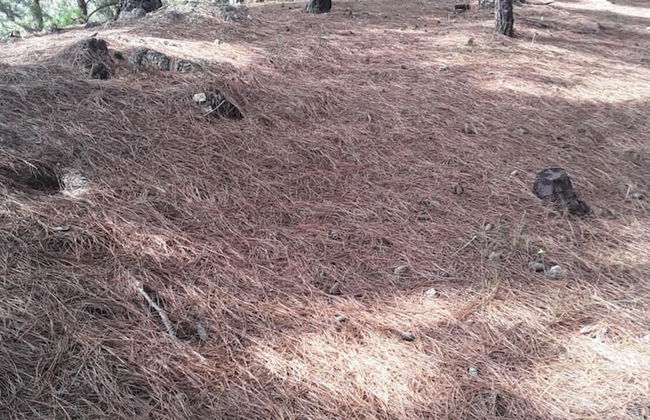 Mount view family rest & cottage - Photo 33