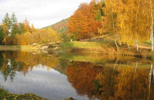 Chalet familial dans le Parc des Vosges, wifi et animaux acceptés - FR-1-589-840 - Foto 24