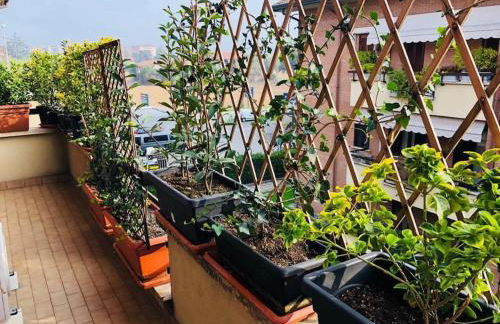 Ketty House B&B - Policlinico di Monza, U-Power Stadium - Foto 15