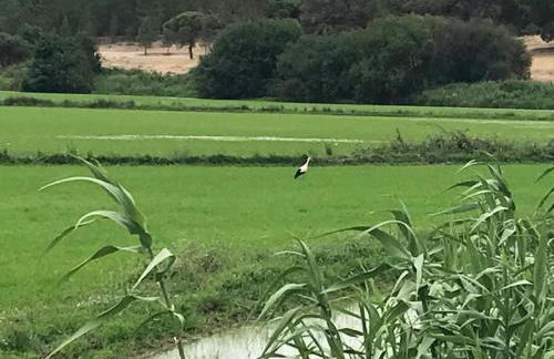 A Casa do Arez - Foto 25