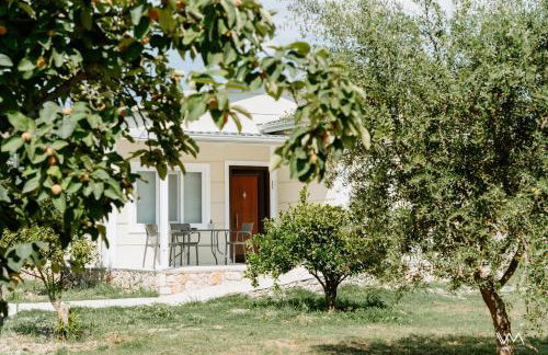 Oikies Verde - Foto 1