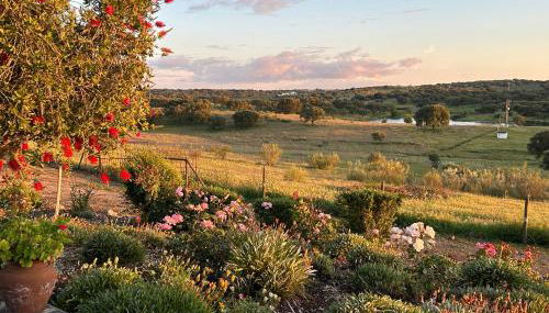 Herdade das Pintas - Foto 5