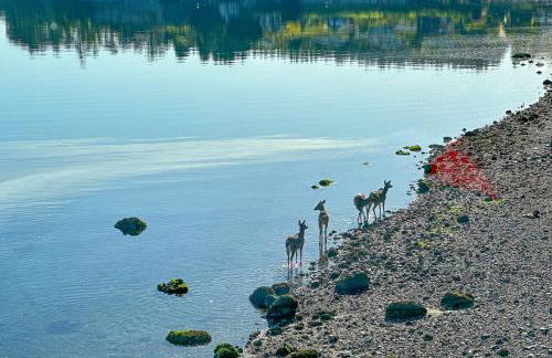 Heron House on the Cove - Foto 24