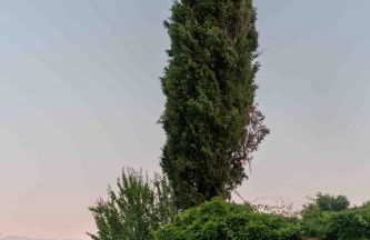 Villa Casale Chiesina - Foto 27