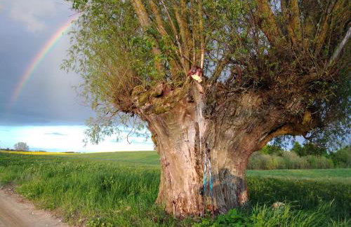 Apartamenty Sielanka - Foto 71