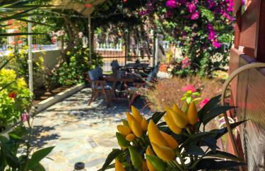 Nikodimos Garden Studios - Foto 7