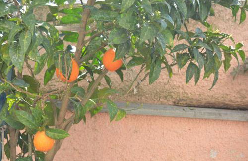 The Otherside House Pelion - Foto 25