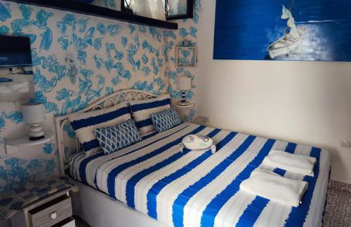 Pino Marino - Foto 15