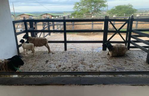 Monte Castelo Gravatá - Foto 50