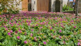 Friedrichs Kleines Haus - Foto 2